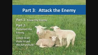 Managing Internal Parasites in Sheep and Goats Attack the Enemy [upl. by Elise]