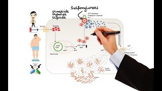 Diabetes Medications [upl. by Delfine]