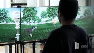 Purina Beneful brand Dog Food interactive digital signage by Inwindow Outdoor [upl. by Su]