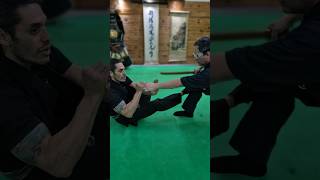 Técnica sentadas 🥷🔥escoladeninjas ninjutsu ninja bujinkan kotatsudojo faixapreta [upl. by Agathe]