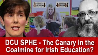 Pedagogies and Politics in Irish Education  Was the DCU Course the Canary in the Coalmine [upl. by Garcon]