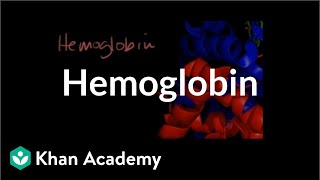 Hemoglobin  Human anatomy and physiology  Health amp Medicine  Khan Academy [upl. by Guglielmo]