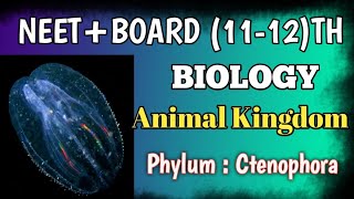 Phylum Ctenophora 👉🏻 Animal Kingdom education biology 11th [upl. by Bianchi]