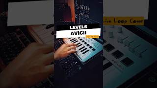 Avicii  Levels Live Loop Cover  shorts music ableton synth arpeggiator piano pianomusic [upl. by Charline197]