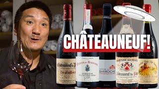 Exploring the BOLD Red Wines of ChâteauneufduPape [upl. by Noiro]