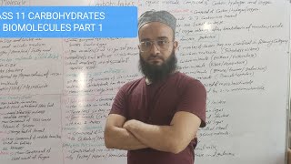 CLASS 11  CARBOHYDRATES  शर्करा  BIOMOLECULES  जैव अणु  PART 1 [upl. by Hummel]