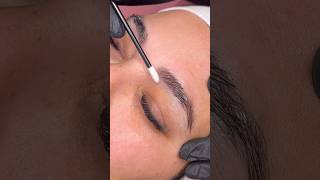 Brow lamination  tint over old ombré brows 🫐💛 brows browsbybrecia tutorial shorts [upl. by Mosi]