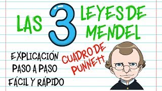 🌿LAS LEYES DE MENDEL CUADRO DE PUNNETT PASO A PASO EXPLICACIÓN Fácil y Rápido  BIOLOGÍA [upl. by Asil]