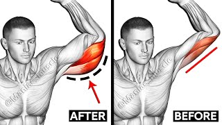 Best Triceps Workout  Lateral Head  Long Head  Medial Head  Maniac Muscle [upl. by Aggappora]