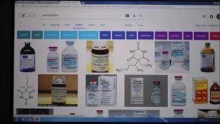 Diethylstilbestrol DES Pentobarbital Phenobarbital Zika Virus 2018 [upl. by Ralip503]