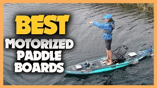 10 Best Motorized Paddle Boards 2023 [upl. by Adnilg]