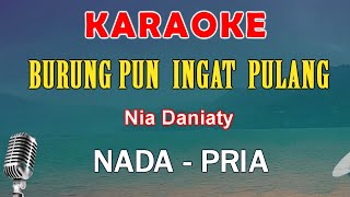 BURUNG PUN INGAT PULANG  KARAOKE Nada Pria  Nia Daniaty [upl. by Gayle]