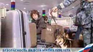 Aeroflot corporate movie [upl. by Genie]