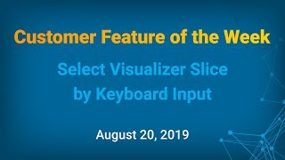 Customer Feature of the Week  Select Visualizer Slice by Keyboard Input [upl. by Gilligan]