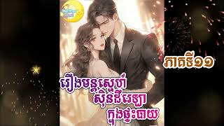 Novel Kitchen Cinderella 11 ប្រលោមលោក មន្ដស្នេហ៍ស៊ិនដឺរេឡាក្នុងផ្ទះបាយ ភាគទី១១ [upl. by Aicilic]