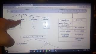 Mind Maps Physiology CVS Vasomotor center Hypertension Hypotension and Syncope Dr Mohamed Fayez [upl. by Lleroj]