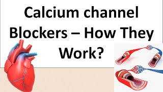 Norvasc Amlodipine  A Calcium channel blockers  Pharmacology amp Mechanism of action [upl. by Engdahl]