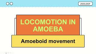 Locomotion in amoeba  Amoeboid movement [upl. by Nelyt31]