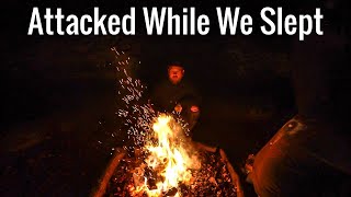 Exploring With Fighters Scariest Encourage Told By the Camp Fire [upl. by Nayllij]