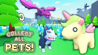 №14 XIV Collect All Pets Собери всех питомцевRoblox game [upl. by Zins]