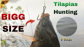 Simple Float FishingFloat Fishing tipsEarthworm Fishing Techniques [upl. by Tamqrah]