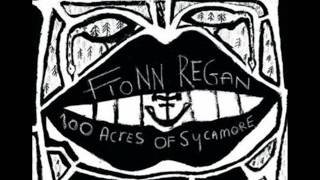 Fionn Regan  Sow Mare Bitch Vixen [upl. by Kile]