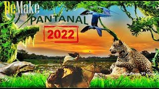 O melhor do Remake Pantanal 2022 [upl. by Azilem]