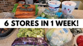 Shopping at Different Stores for All the Sales  Grocery Shopping on a Budget Tips [upl. by Drofxer]