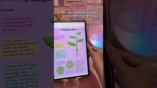Digital note taking 💜✏️ Samsung galaxy tab S9  Penly android app  aesthetic study notes [upl. by Anoek]