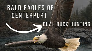 DUAL BALD EAGLE DUCK HUNTING   GRAPHIC [upl. by Norrahc]