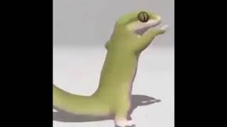 Lizard dances to Pokemon but its actually synced [upl. by Annamarie714]