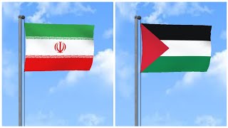 The Secret Messages Behind Palestine amp Irans Flags [upl. by Fradin878]