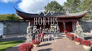 Hortus Botanicus HarenGroningen Chinese tuin [upl. by Cherilynn334]