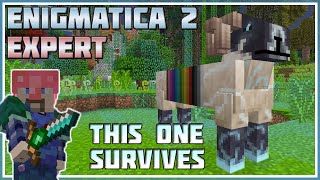 Mid Tier Twilight Forest  Minecraft Enigmatica 2 Expert 46 [upl. by Annaiviv]