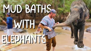 Chiang Mai Adventure Bamboo Rafting amp Elephant Mud Baths [upl. by Murrah]