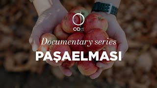 OD  Documentary Series  Paşa Elması [upl. by Tnelc]