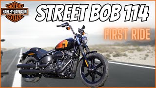 Harley Davidson Street Bob First Ride Review [upl. by Seen]