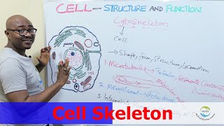 Cytoskeleton [upl. by Dressler252]