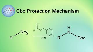 Adding Cbz Protecting Group Mechanism  Organic Chemistry [upl. by Norat708]