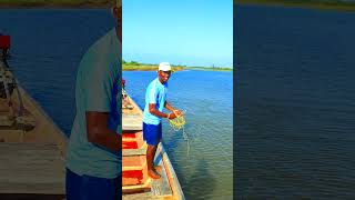 Village amzaing net fishingshortsfeed ytshorts fishingshorts odiafishing odiavlog [upl. by Cowie922]