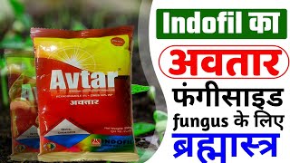 INDOFIL AVTAR  अवतार इन्डोफिल  fungicide  zineb  hexaconacole [upl. by Nathan317]