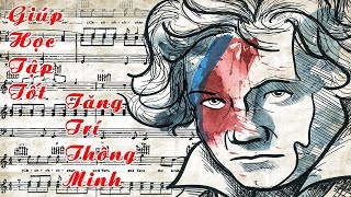 Nhạc Không Lời Beethoven Hay Nhất Mọi Thời Đại Giúp Học Tập Kích Thích Tư Duy Tốt Nhất Hiện Nay [upl. by Yrtnej]