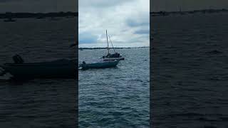 ALL AT SEA EMSWORTH HAMPSHIRE sea water boats [upl. by Llehsram]