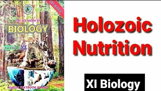 Holozoic Nutrition XI Biology [upl. by Aleina]