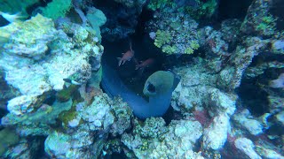 Egypt Marsa Alam Shoni Bay Hotel Reef Part 3 [upl. by Meece]