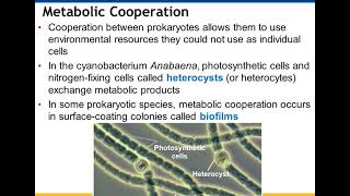 Chapter 27 Bacteria and Archaea [upl. by Yelsna]