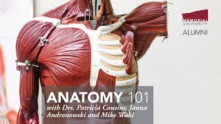 Anatomy 101 [upl. by Shandee441]