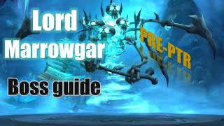 LORD MARROWGAR BOSS GUIDE  ICECROWN CITADEL [upl. by Maitilde33]