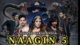 SINOPSIS SERIAL INDIA NAAGIN 5 [upl. by Eitsirc]