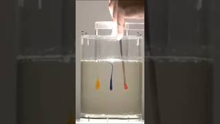 Laminar effect sciencefacts science knowledge facts [upl. by Suckram]